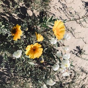 Meet your Posher, May